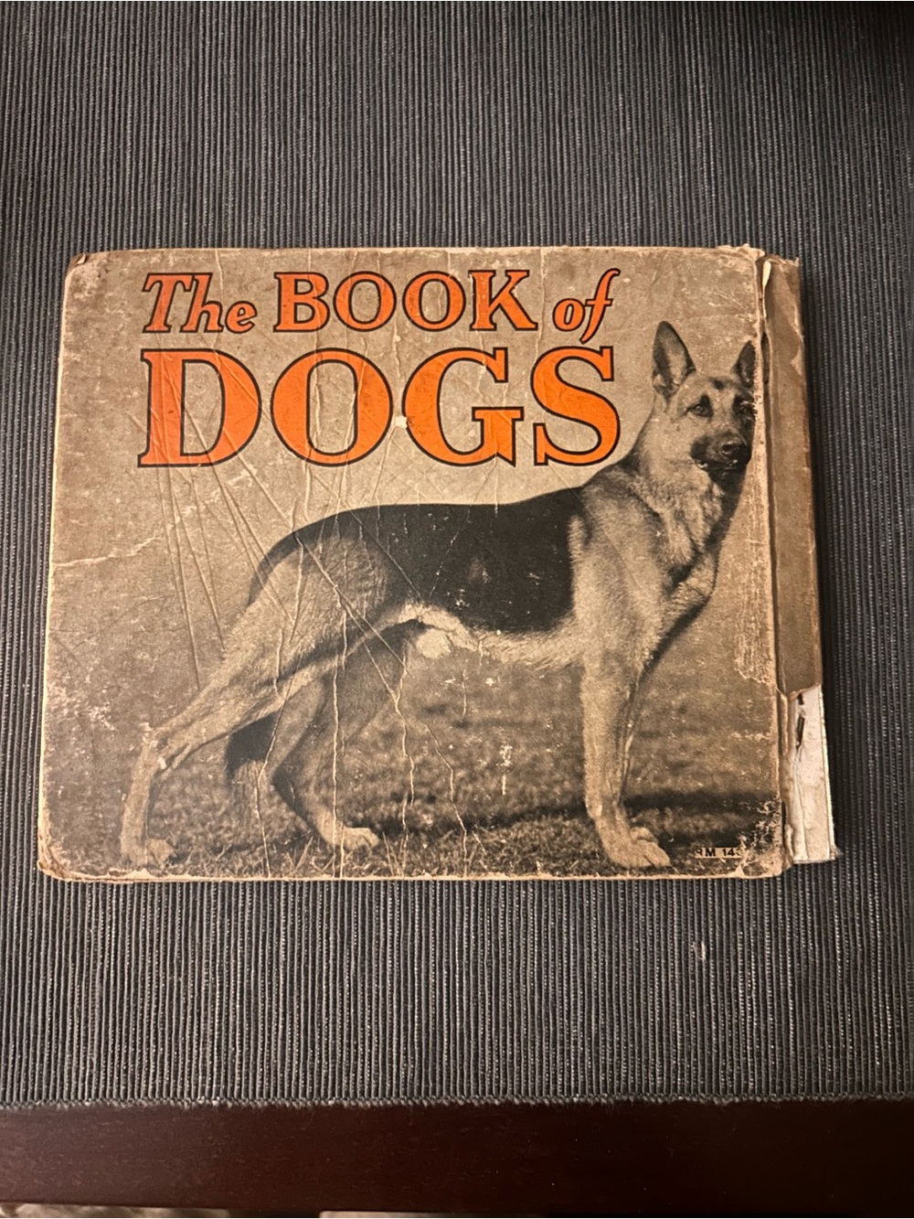 1934 THE BOOK OF DOGS